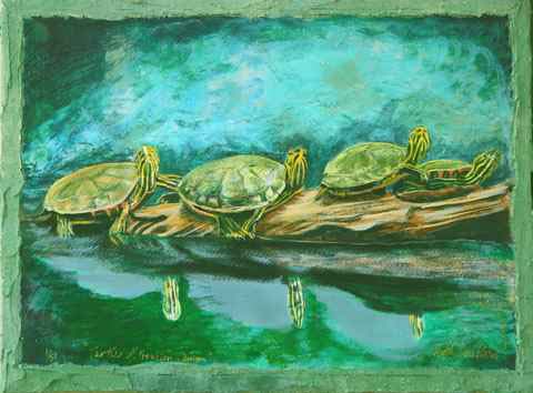 #1 - Ruth San Pietro - Turtles at Franklin Canyon